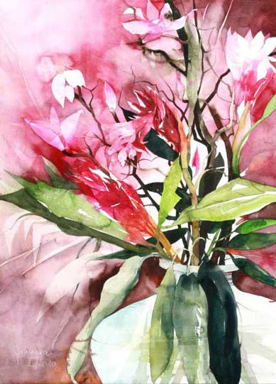 Johanna Kopp Aquarelle Aquarell Salzburg Malerei Kunst Malerin Ingwerblüten