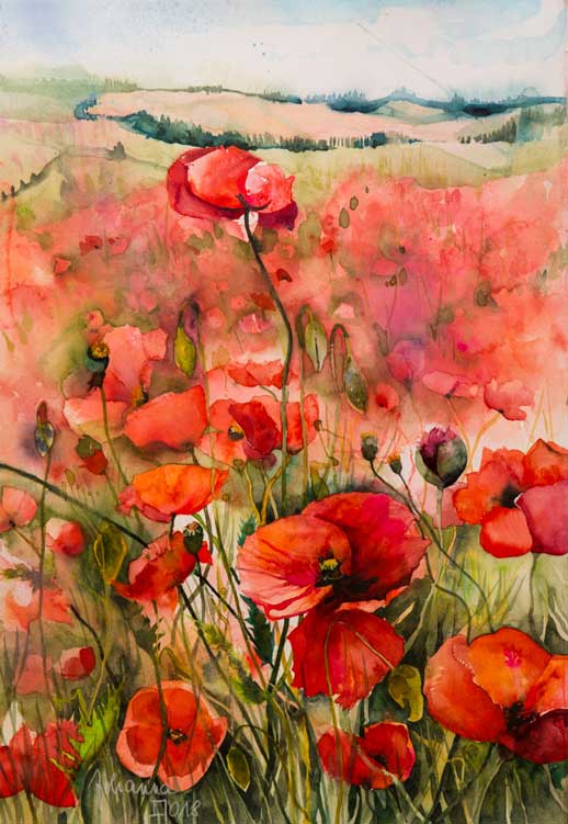 Johanna Kopp Aquarelle Aquarell Salzburg Malerei Kunst Malerin Mohn in der Toskana
